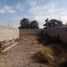  Land for rent in Torreon, Coahuila, Torreon, Coahuila