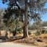  Land for sale in Atotonilco El Grande, Hidalgo, Atotonilco El Grande
