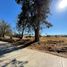  Land for sale in Atotonilco El Grande, Hidalgo, Atotonilco El Grande