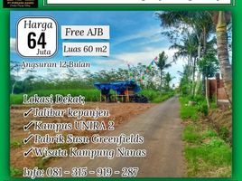  Land for sale in Kepanjen, Malang Regency, Kepanjen