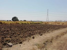  Grundstück zu verkaufen in Yautepec, Morelos, Yautepec