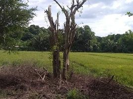  Land for sale in Dinalupihan, Bataan, Dinalupihan