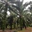  Land for rent in Jeram Batu, Johor, Jeram Batu, Pontian