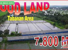  Land for sale in Indonesia, Tabanan, Tabanan, Bali, Indonesia