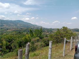  Land for sale in Cauca, Santander De Quilichao, Cauca