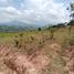  Land for sale in Cauca, Santander De Quilichao, Cauca