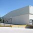 7,200 平米 Office for rent in Coahuila, Torreon, Coahuila