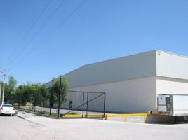 7,200 平米 Office for rent in Coahuila, Torreon, Coahuila
