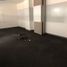 194.30 m² Office for rent in Tultitlan, Mexico, Tultitlan