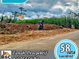  Land for sale in Malang Regency, East Jawa, Kepanjen, Malang Regency