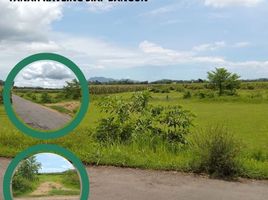  Land for sale in Jenggawah, Jember, Jenggawah