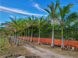  Grundstück zu verkaufen in Anton, Cocle, El Chiru