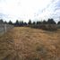  Land for sale in Chile, Lanco, Valdivia, Los Rios, Chile