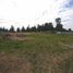  Land for sale in Chile, Lanco, Valdivia, Los Rios, Chile