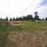  Land for sale in Chile, Lanco, Valdivia, Los Rios, Chile