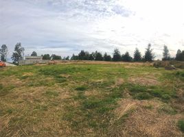  Land for sale in Chile, Lanco, Valdivia, Los Rios, Chile