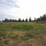  Land for sale in Chile, Lanco, Valdivia, Los Rios, Chile