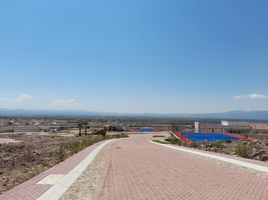 Terrain à vendre à Villa De Reyes, San Luis Potosi, Villa De Reyes