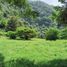  Land for sale in Acajete, Veracruz, Acajete