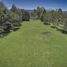  Land for sale in Araucania, Villarrica, Cautin, Araucania