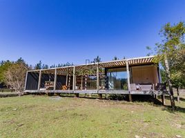 3 Habitación Casa en venta en Cardenal Caro, Libertador General Bernardo O'Higgins, Navidad, Cardenal Caro