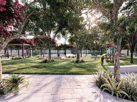  Grundstück zu verkaufen in Conkal, Yucatan, Conkal