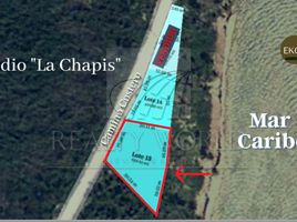  Terreno (Parcela) en venta en Othon P Blanco, Quintana Roo, Othon P Blanco