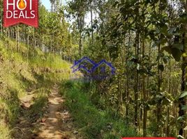  Land for sale in Cimalaka, Sumedang, Cimalaka