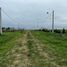  Land for sale in Uruguay, Entre Rios, Uruguay