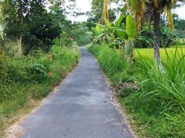  Tanah for sale in Yogyakarta, Seyegan, Sleman, Yogyakarta