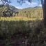  Land for sale in Saltillo, Coahuila, Saltillo