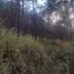  Land for sale in Saltillo, Coahuila, Saltillo