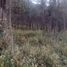  Land for sale in Saltillo, Coahuila, Saltillo