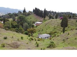  Land for sale in Guarne, Antioquia, Guarne