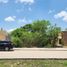  Land for sale in Tixkokob, Yucatan, Tixkokob