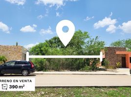  Land for sale in Tixkokob, Yucatan, Tixkokob