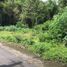  Terreno (Parcela) en venta en Ngaglik, Yogyakarta, Ngaglik