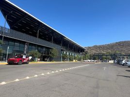  Land for rent in Irapuato, Guanajuato, Irapuato