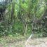  Land for sale in Selemadeg, Tabanan, Selemadeg