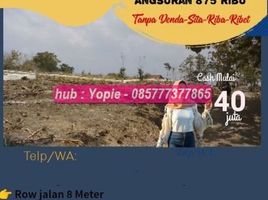  Land for sale in Mojokerto, East Jawa, Damarblandong, Mojokerto