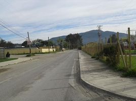  Terreno (Parcela) en venta en Viña del Mar, Valparaíso, Viña del Mar