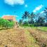  Land for sale in Kepanjen, Malang Regency, Kepanjen