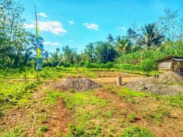  Land for sale in Kepanjen, Malang Regency, Kepanjen