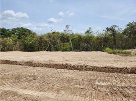  Land for sale in El Espino, San Carlos, El Espino