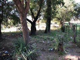  Land for sale in Totoral, Cordoba, Totoral