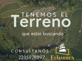  Terreno (Parcela) en venta en General Alvarado, Buenos Aires, General Alvarado