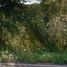  Land for sale in Tekom, Yucatan, Tekom