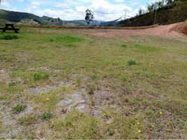  Grundstück zu verkaufen in La Ceja, Antioquia, La Ceja, Antioquia