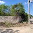  Grundstück zu verkaufen in Hunucma, Yucatan, Hunucma