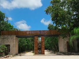 Grundstück zu verkaufen in Cozumel, Quintana Roo, Cozumel